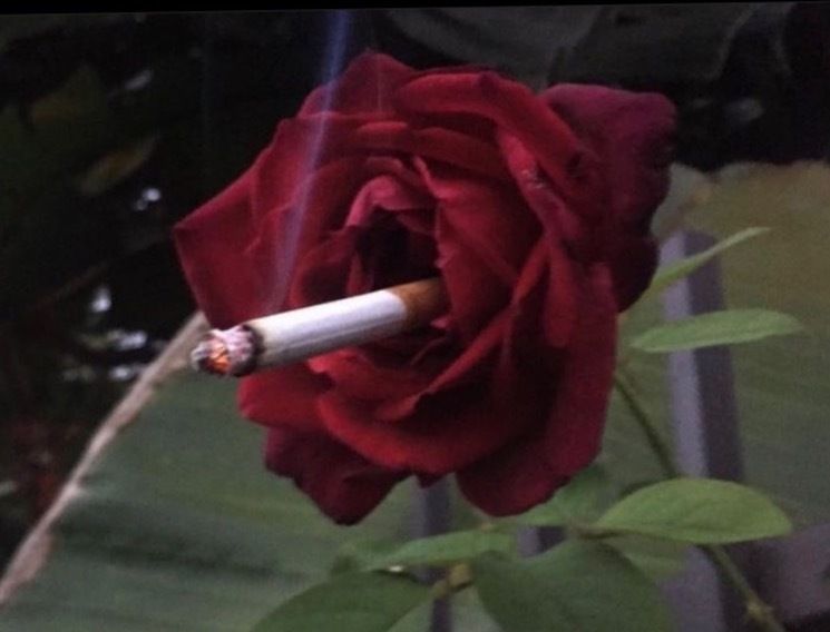 lilanimebratx OnlyFans profile picture