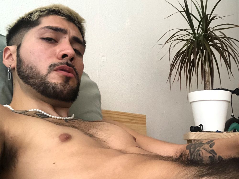 boredyhot OnlyFans profile picture