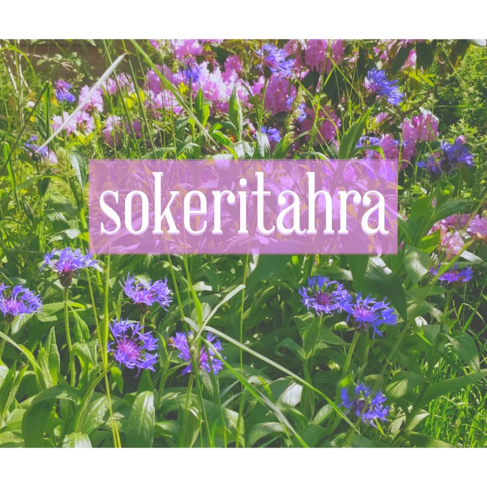 sokeritahra OnlyFans profile picture