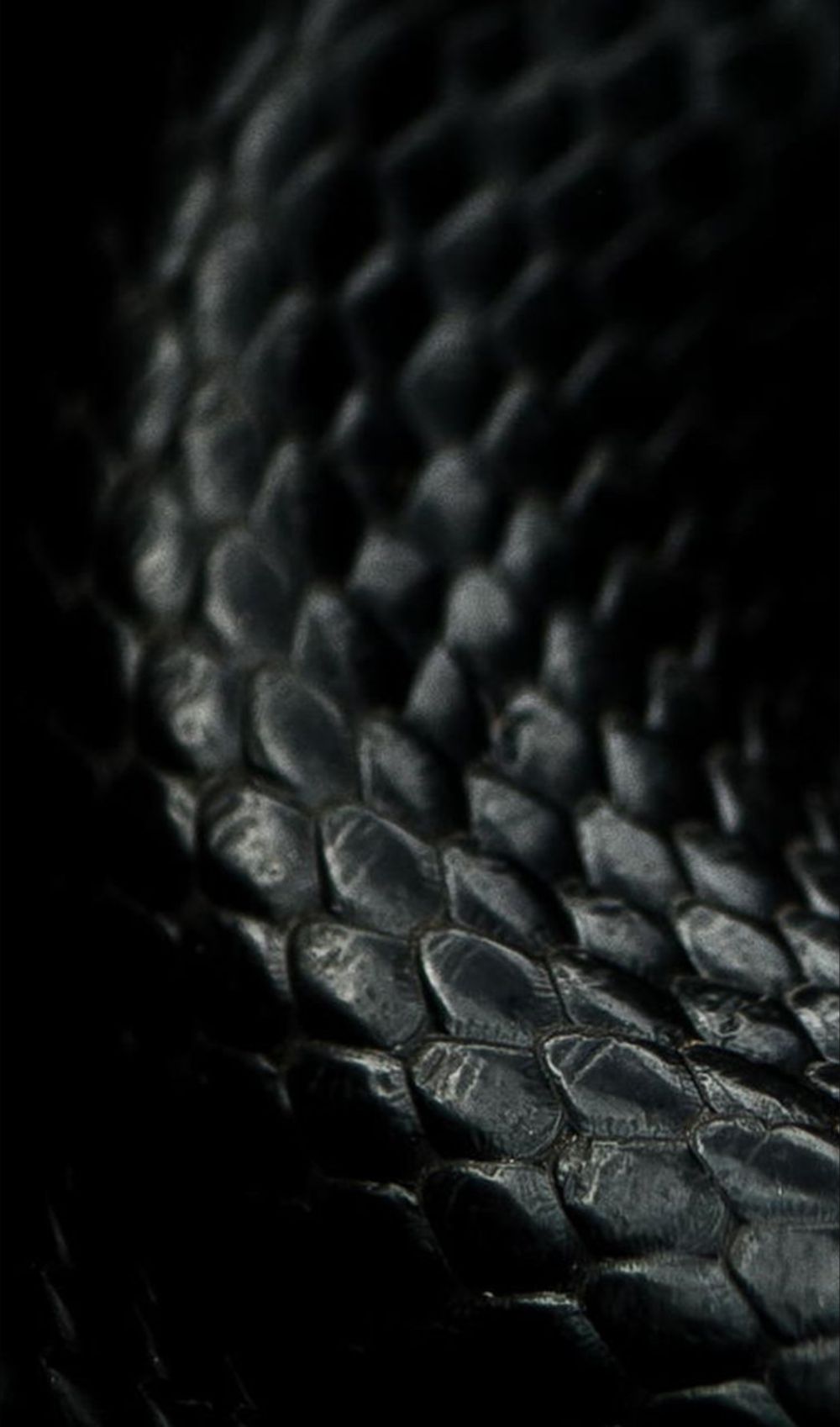 blackletherfb OnlyFans profile picture