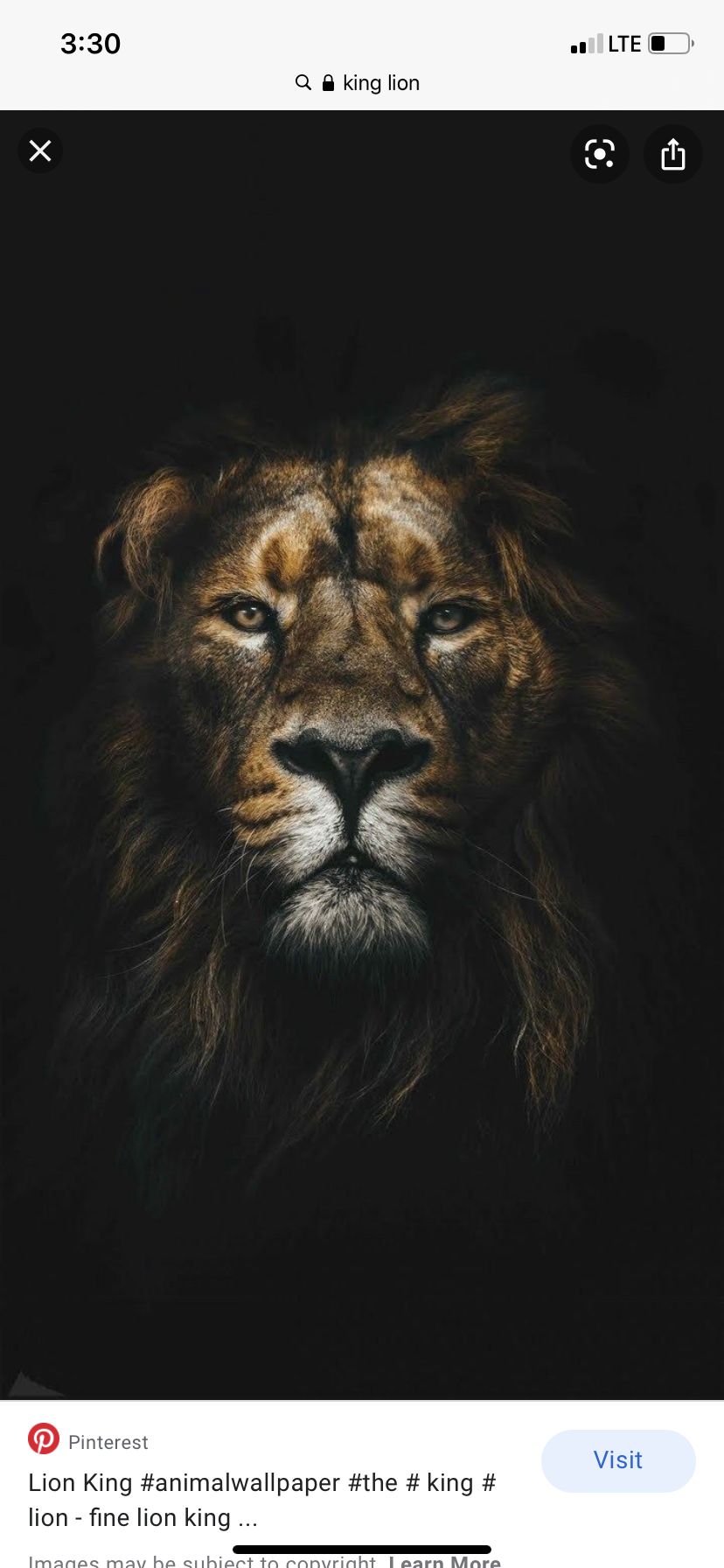 king_mansa_musa OnlyFans profile picture