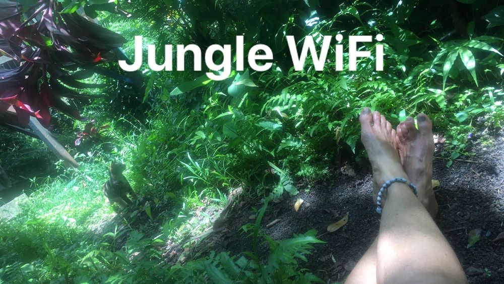 tropicalstarseaexposed OnlyFans profile picture