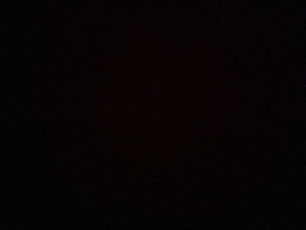 mtftransgender OnlyFans profile picture