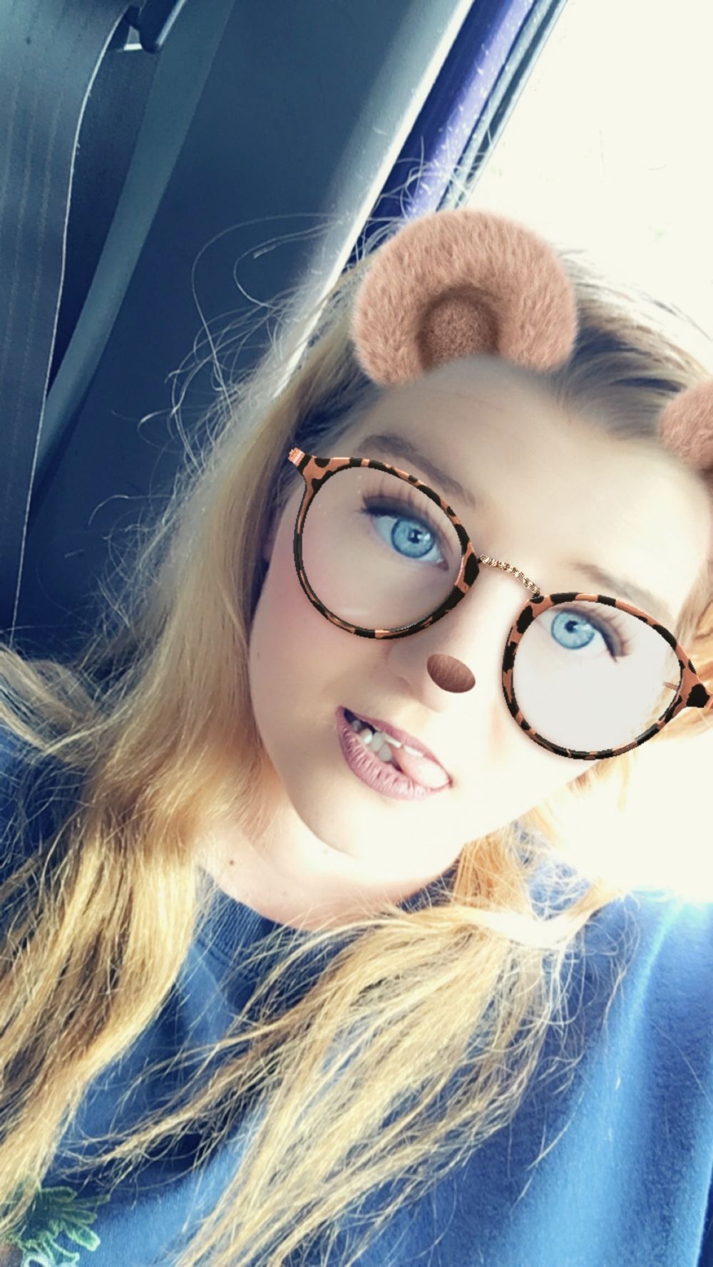 koalabears292 OnlyFans profile picture