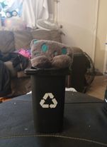 krispykatt420 OnlyFans profile picture