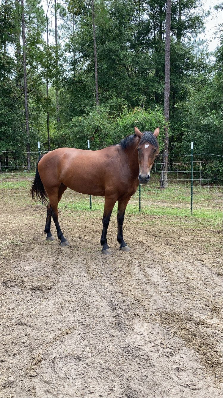 solidstonefamilyfarm OnlyFans profile picture