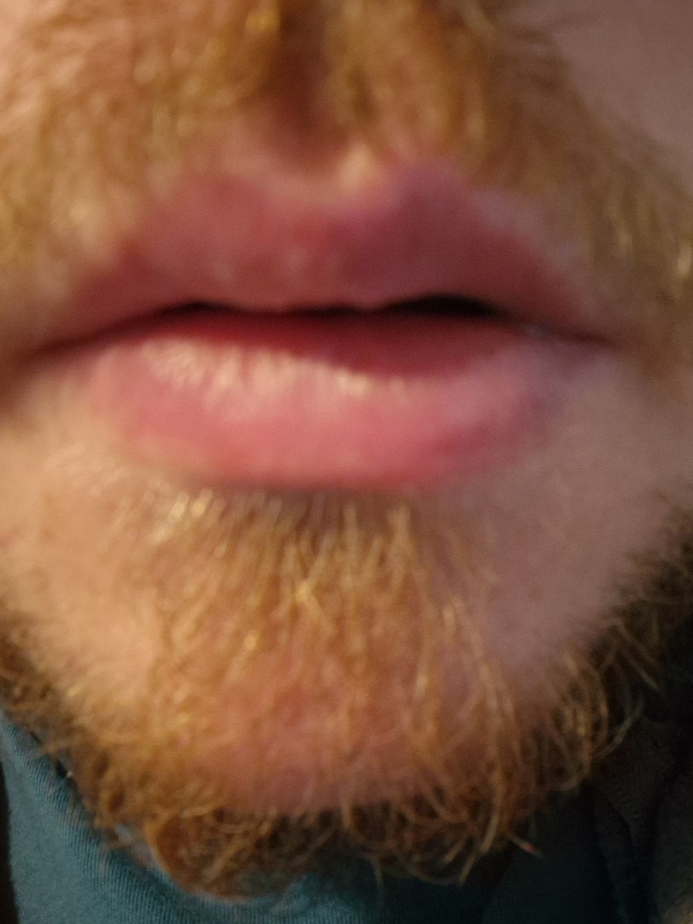 bdbear95 OnlyFans profile picture