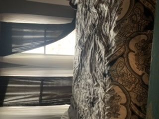 u83930073 OnlyFans profile picture