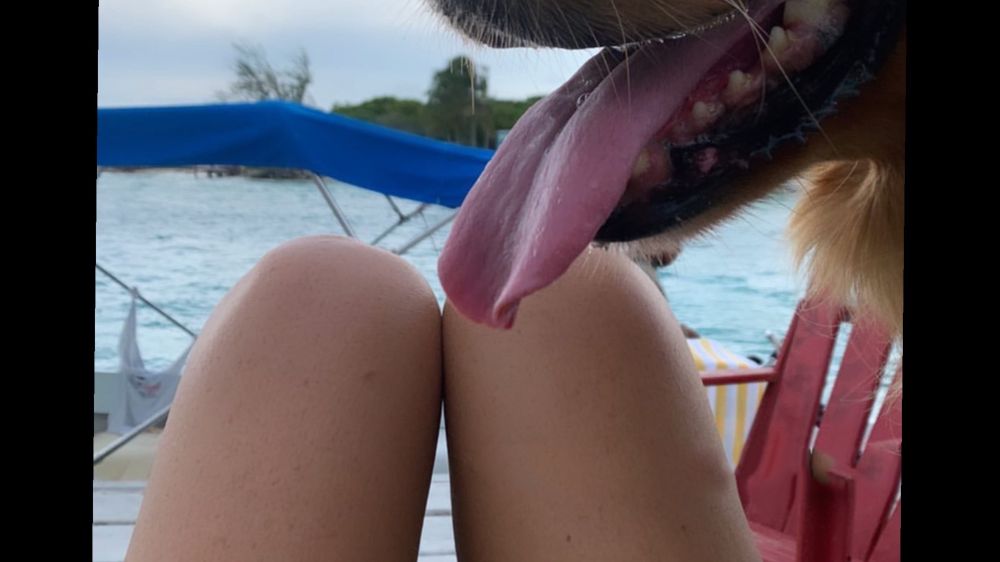 hotdogsorhotmesslegs OnlyFans profile picture
