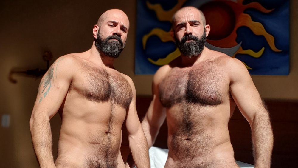 casaldeursosrp OnlyFans profile picture