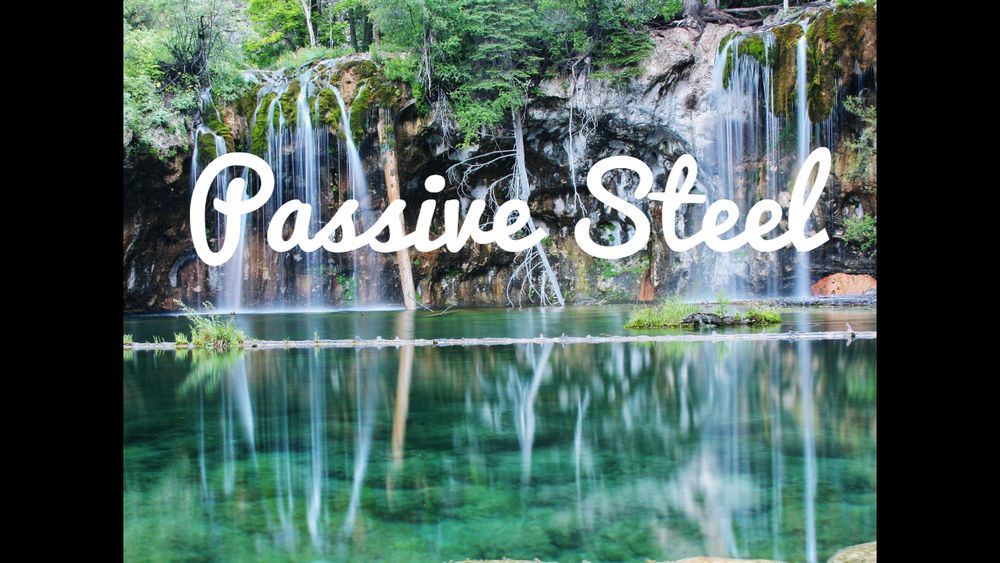 passivesteel OnlyFans profile picture