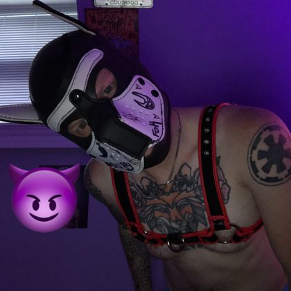 u25801933 OnlyFans picture