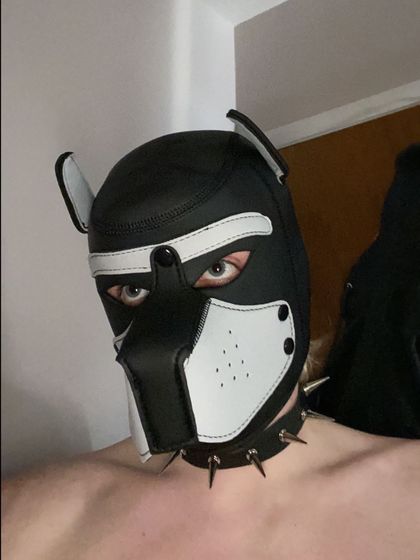 pupblaze999 OnlyFans picture