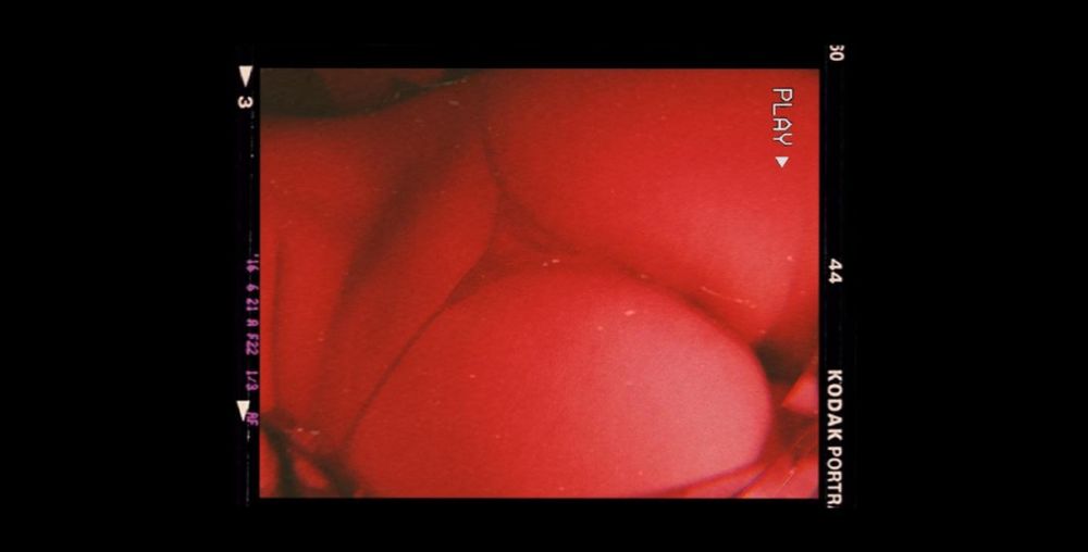 bitchdog1 OnlyFans profile picture