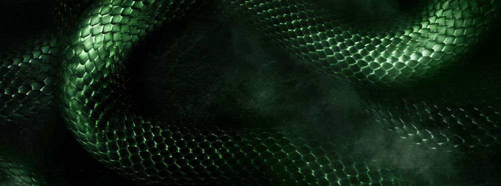 slytherinvixen OnlyFans profile picture