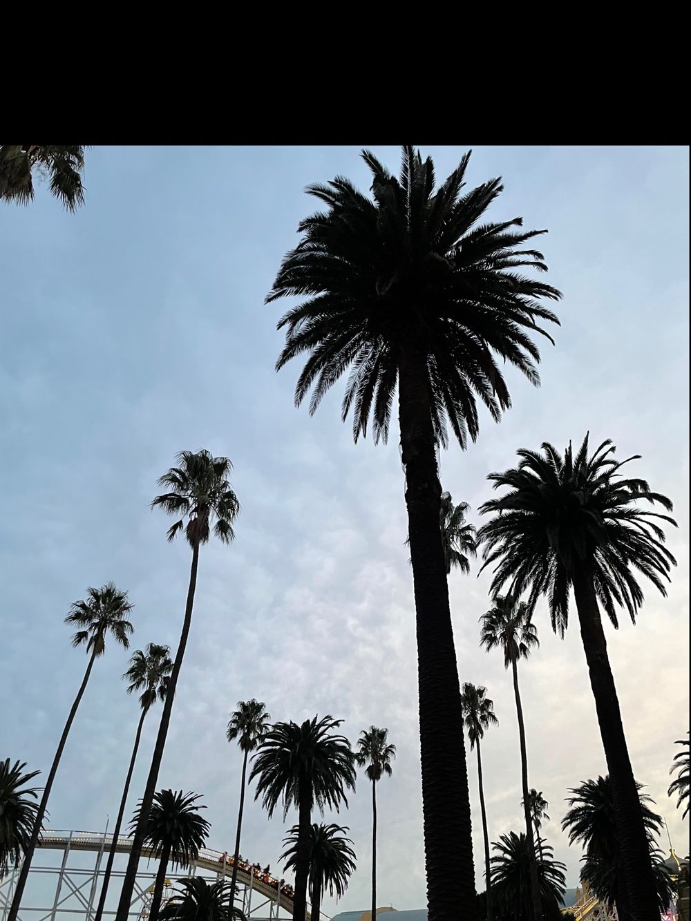 maskdmadness OnlyFans profile picture