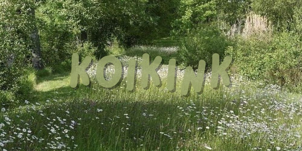 koi.kink OnlyFans profile picture