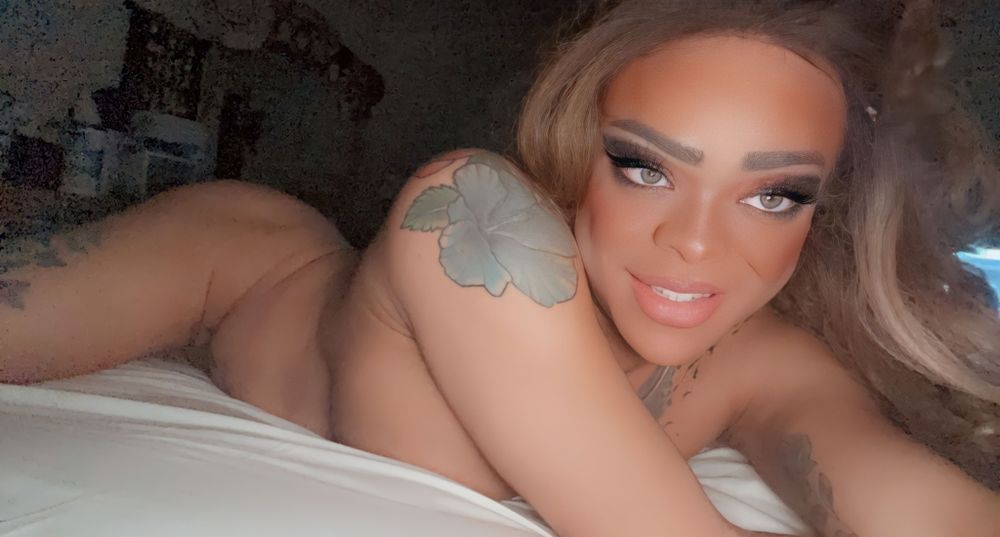 jamiesharkeyst OnlyFans profile picture