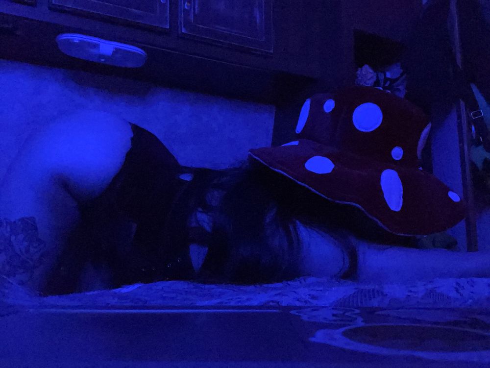 foxy_bella53 OnlyFans profile picture