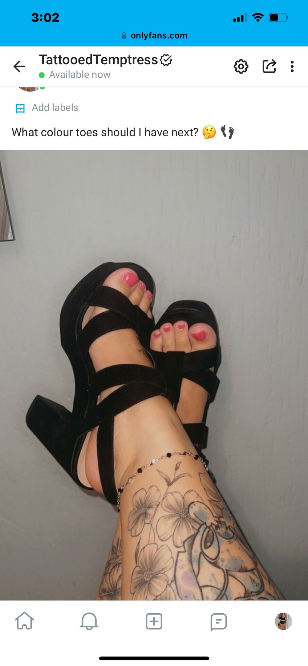 tattooedtemptress96 OnlyFans profile picture