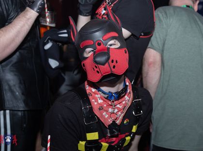 cerberuspup9914 OnlyFans picture