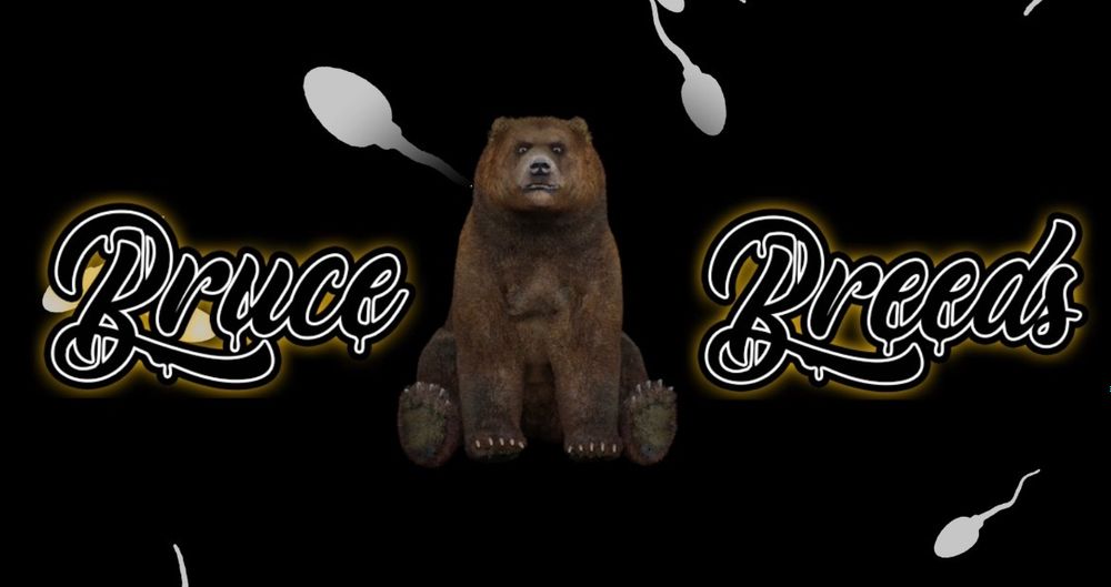 brucebreeds OnlyFans profile picture