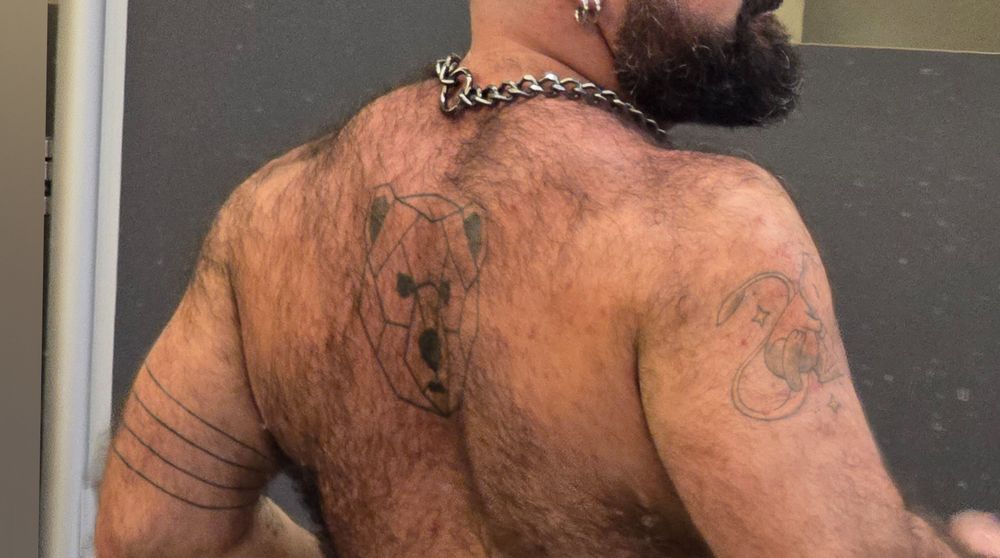 bearsnow OnlyFans profile picture