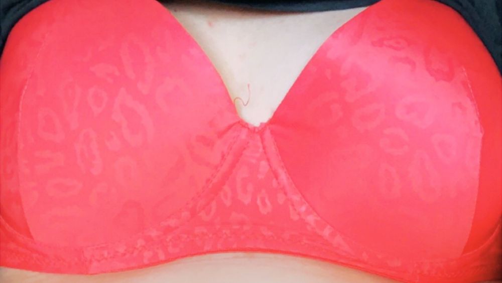 kisses_nicole OnlyFans profile picture