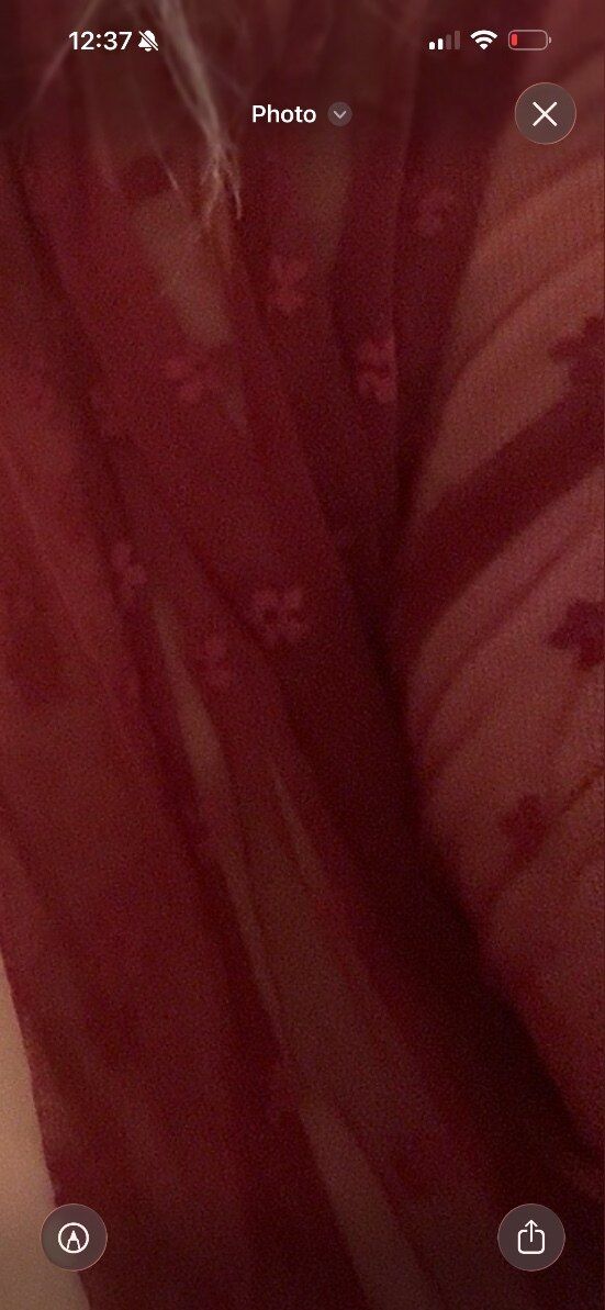 u554820631 OnlyFans profile picture