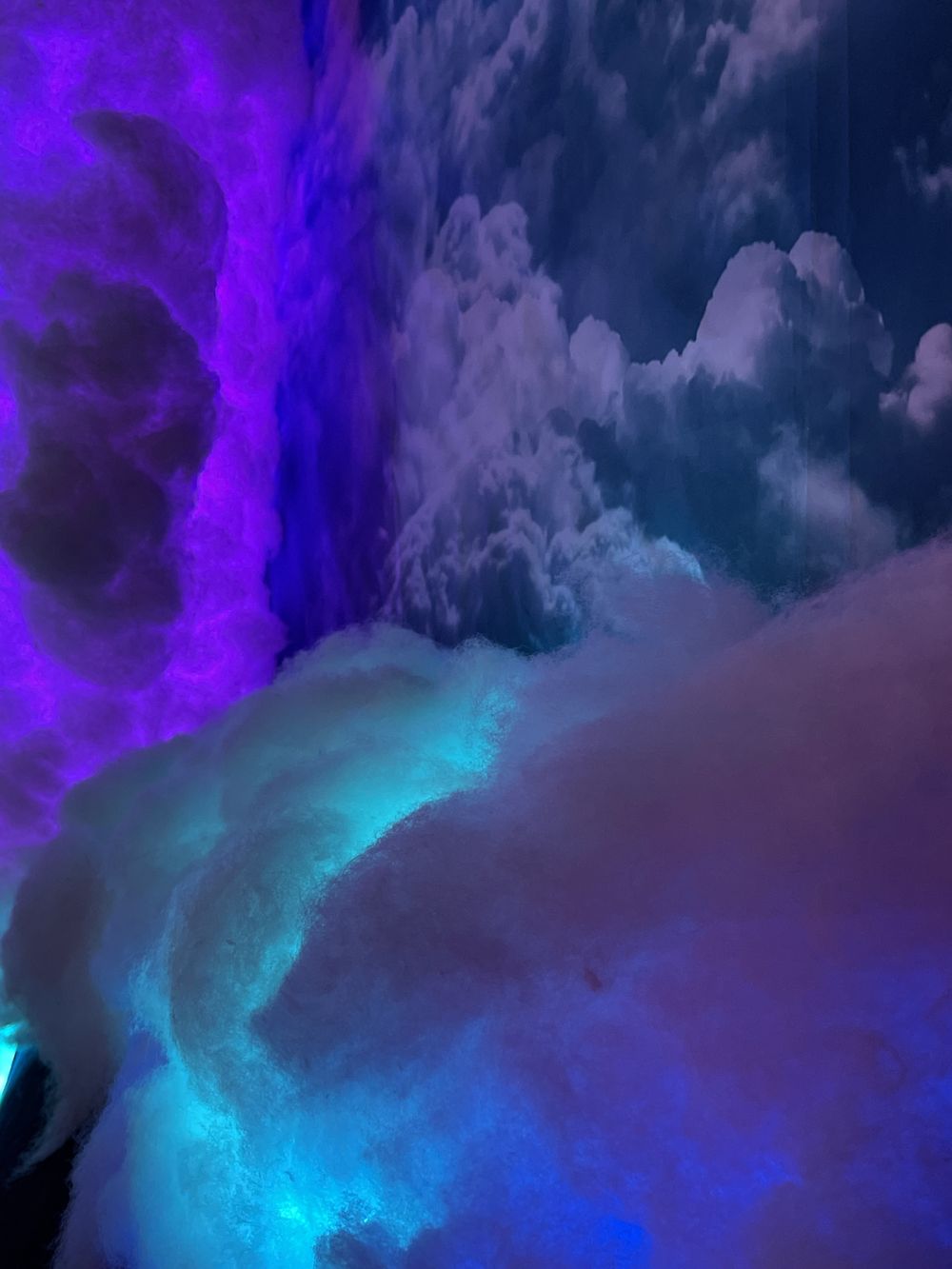 thecloudprincess OnlyFans profile picture