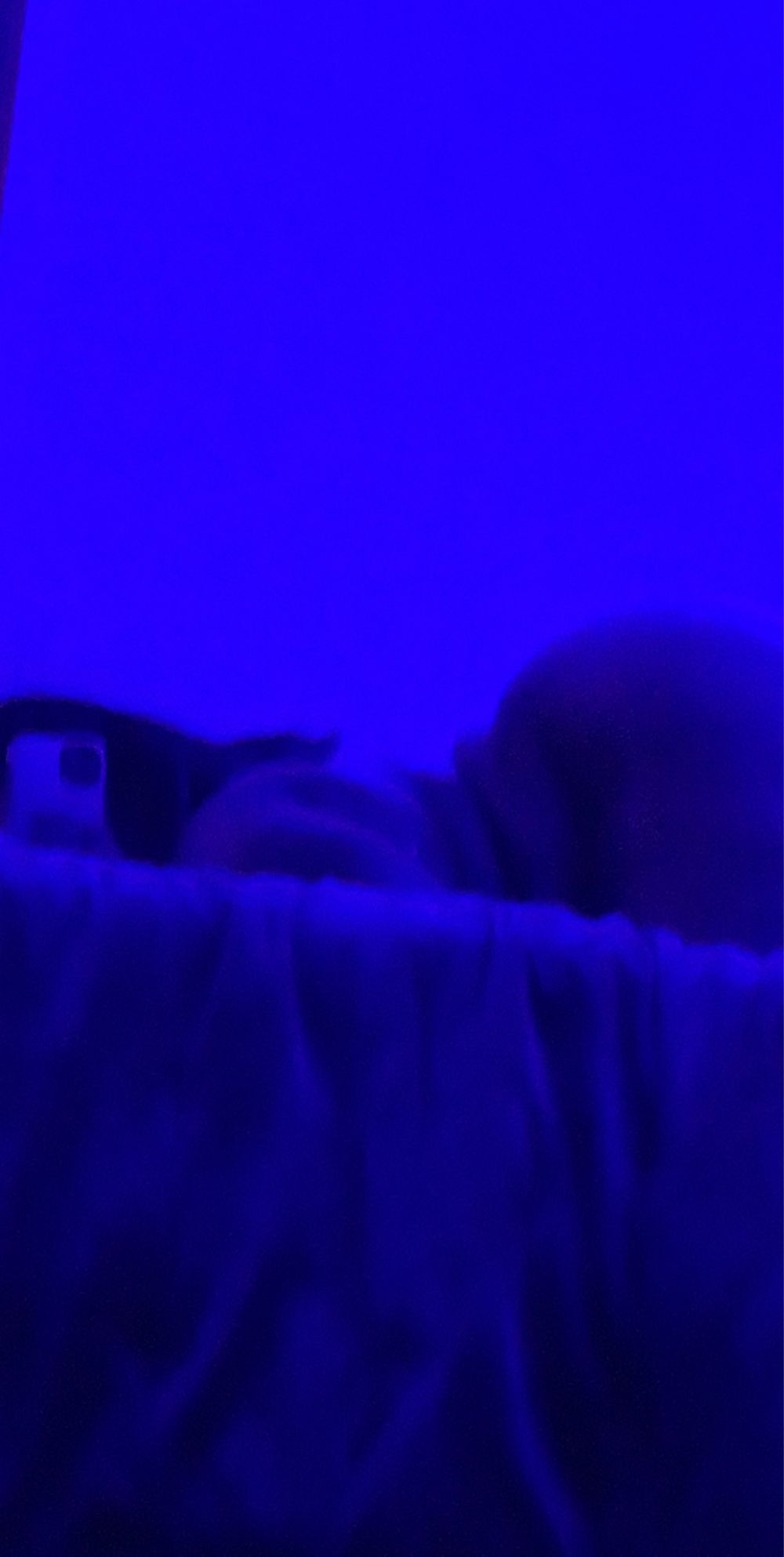 plushhhpallll OnlyFans profile picture