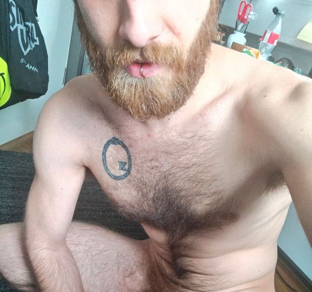 hunghairystud OnlyFans profile picture