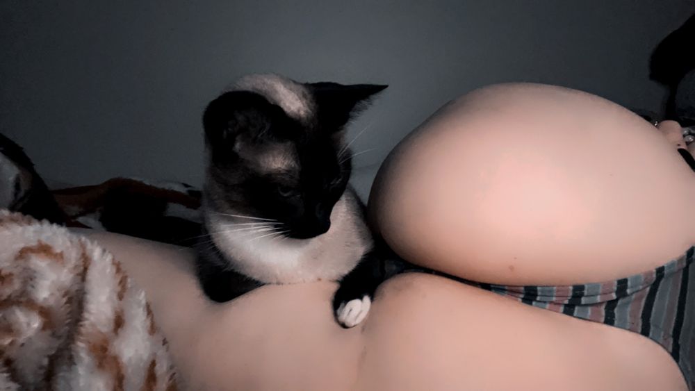 puddinsmutt OnlyFans profile picture