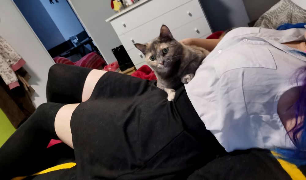 merywi OnlyFans profile picture