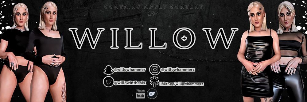 willowhammerz OnlyFans profile picture