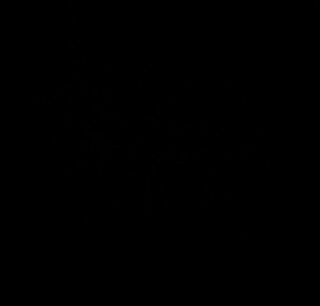 u48368833 OnlyFans profile picture