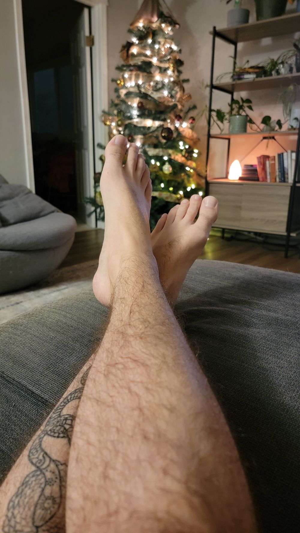 reids_feet OnlyFans profile picture
