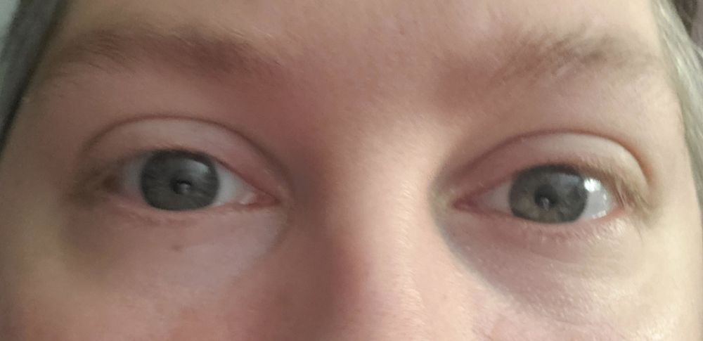 snebbik OnlyFans profile picture