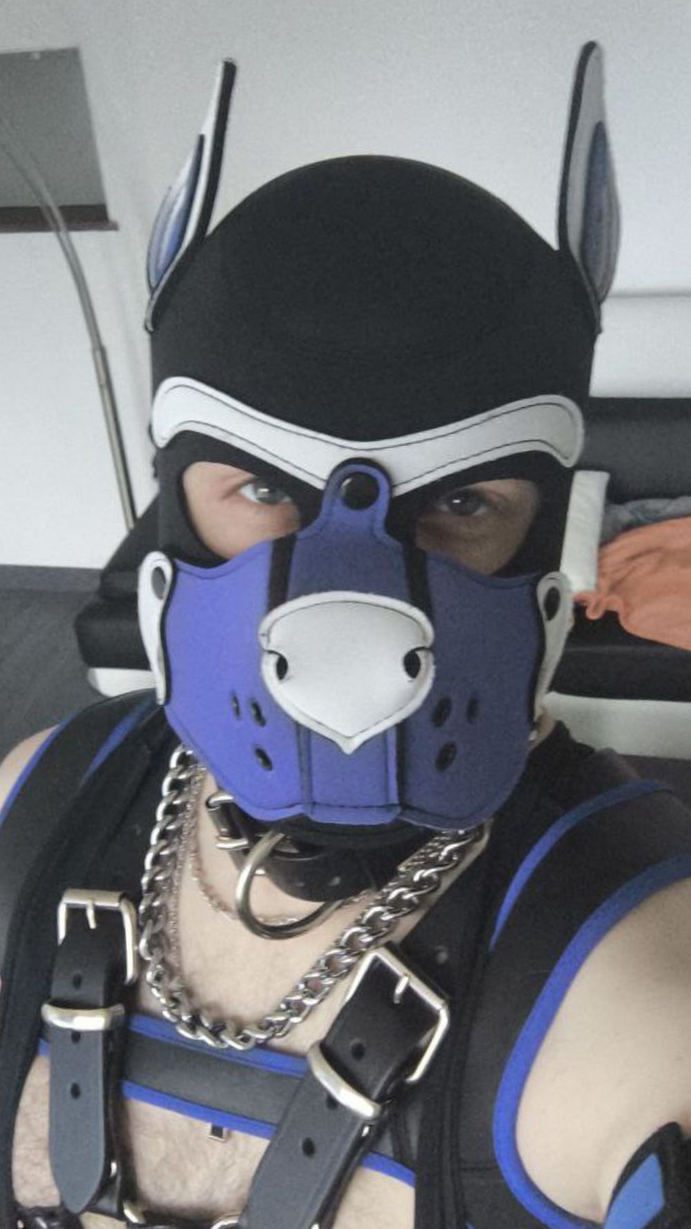 eros_god_dragon OnlyFans profile picture