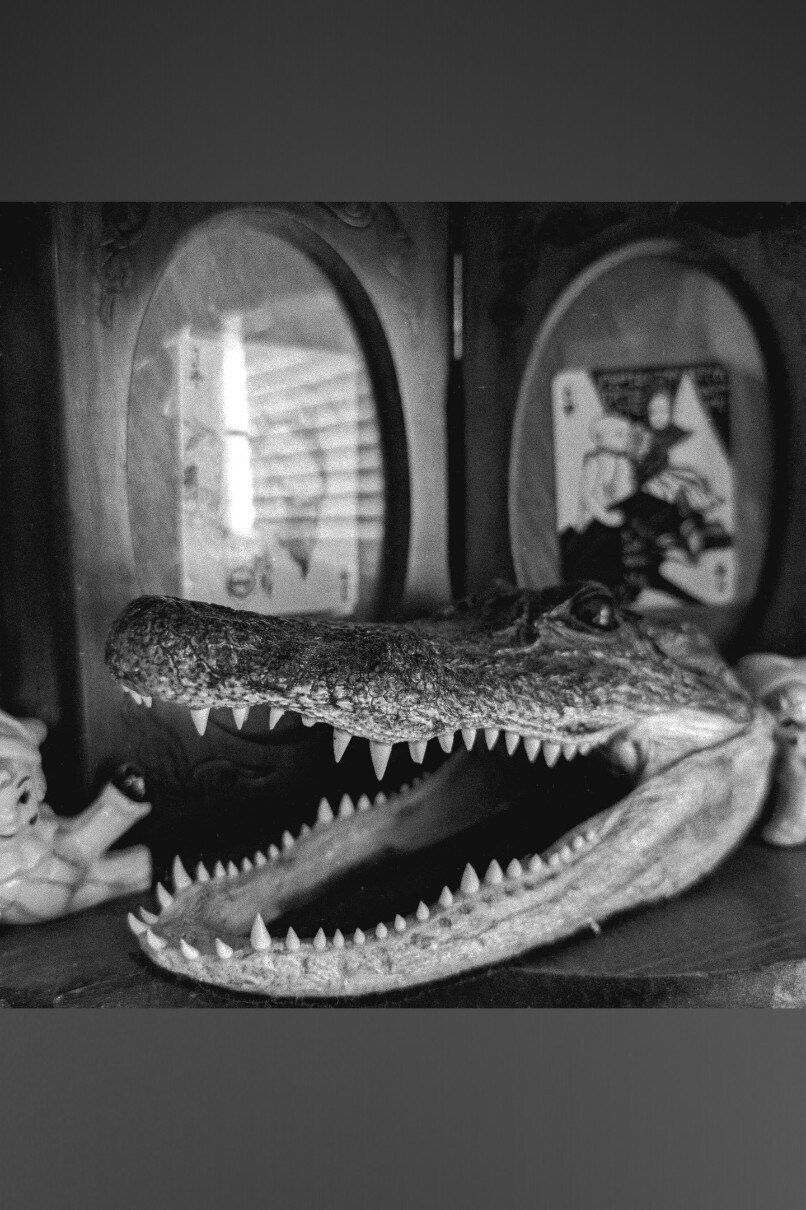 gatorhag OnlyFans profile picture