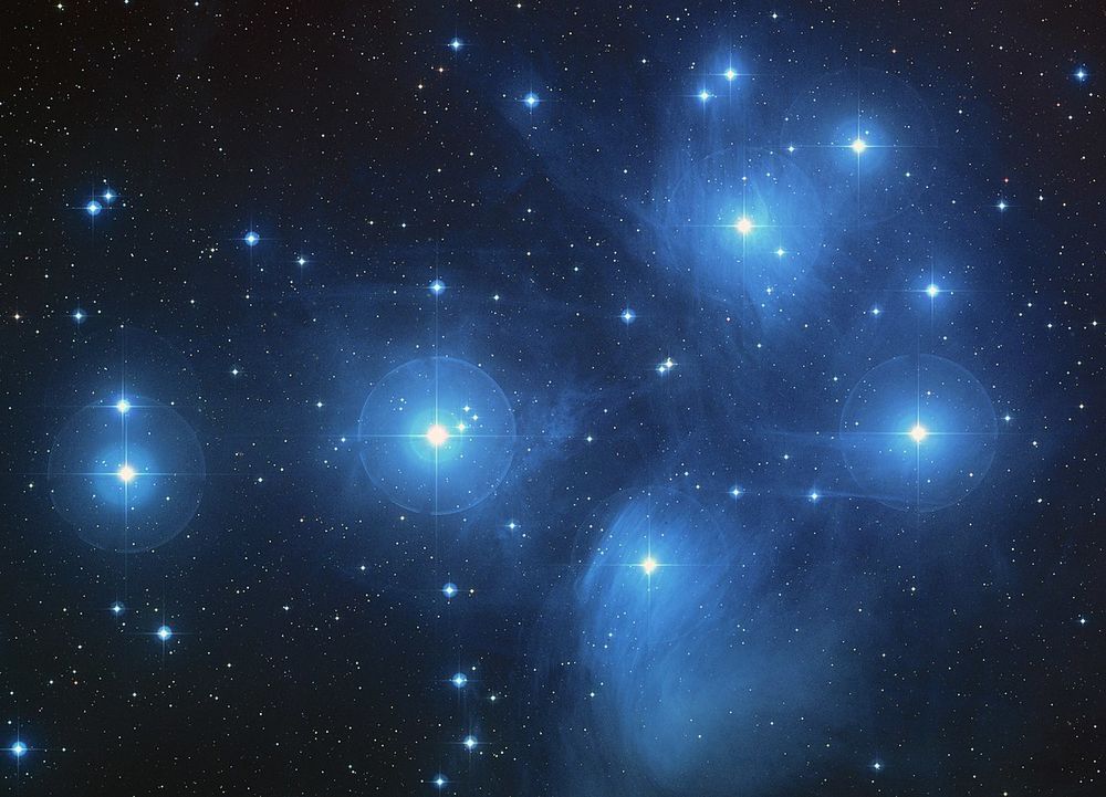 pleiadian OnlyFans profile picture