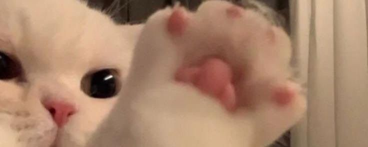 imuronlinewaifu OnlyFans profile picture