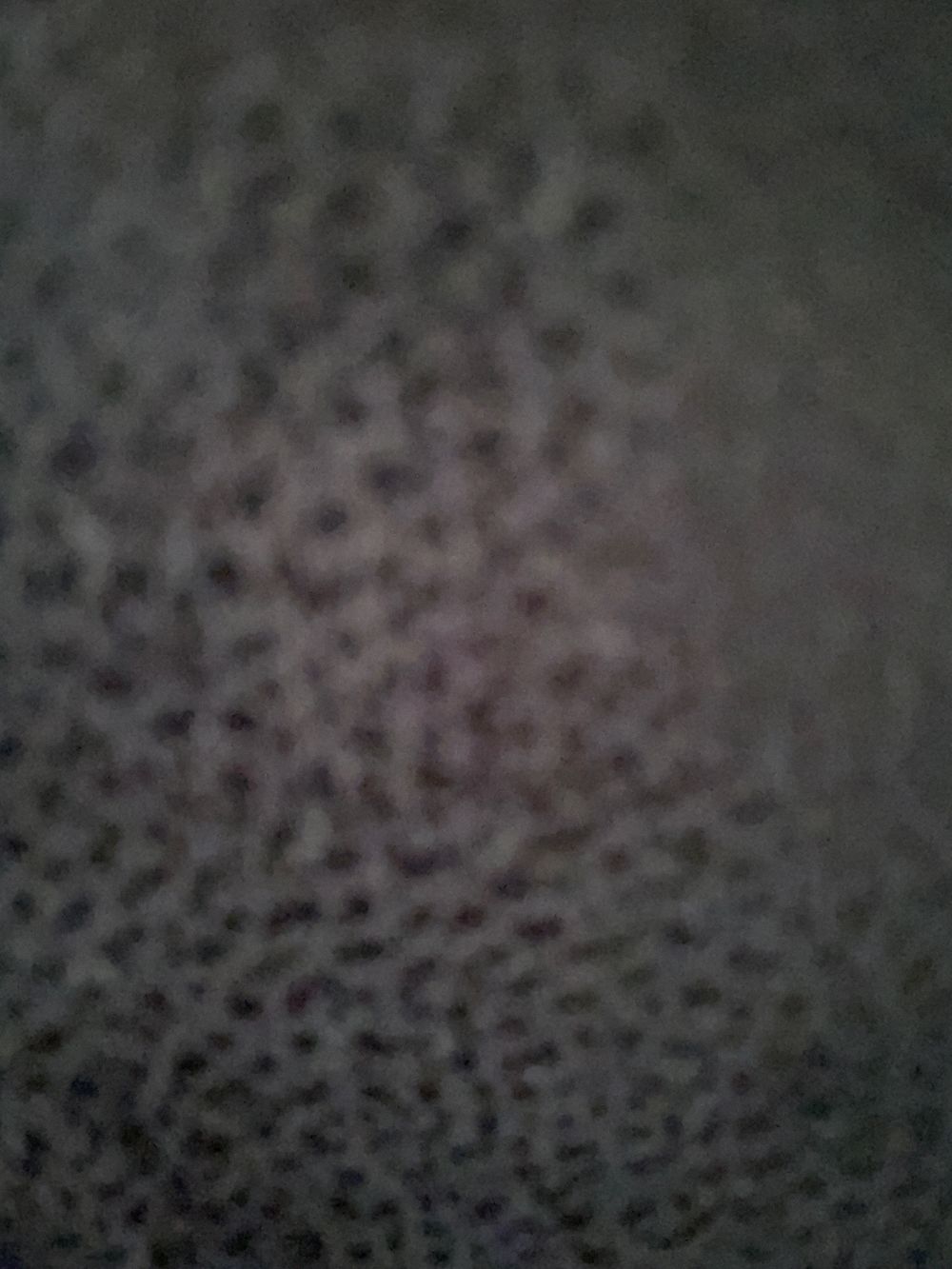 u28168177 OnlyFans profile picture