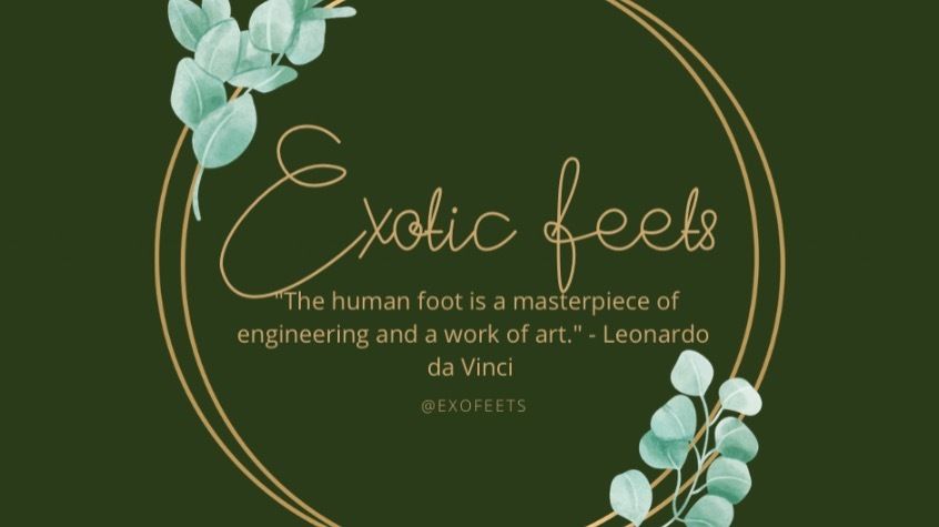 exofeets OnlyFans profile picture