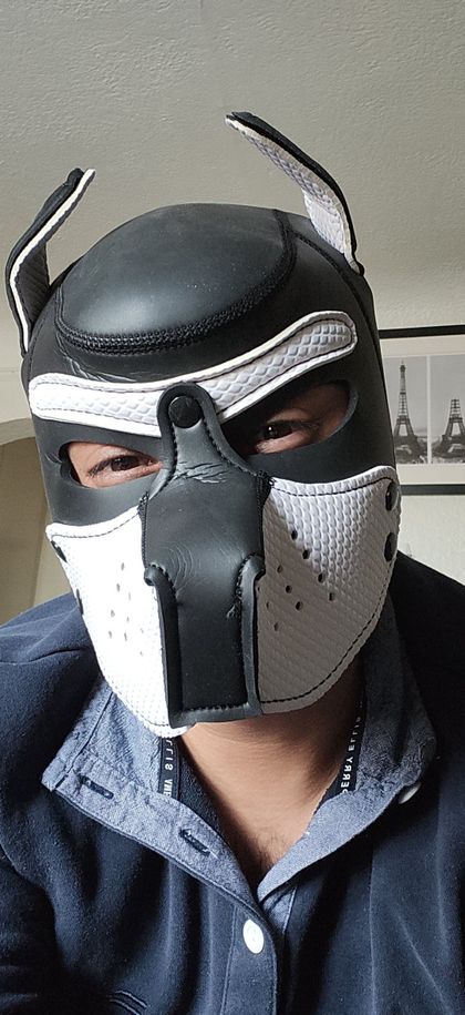 pixelpup327 OnlyFans picture