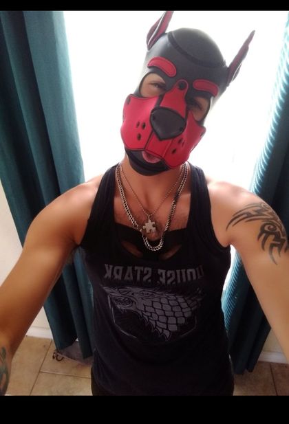puprush OnlyFans picture