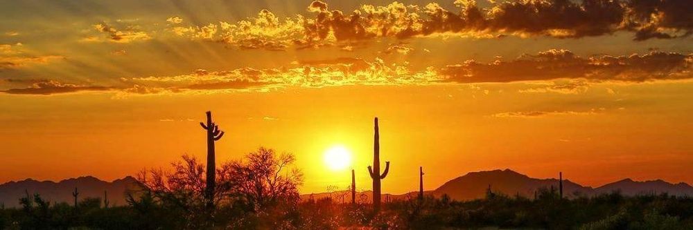 arizonaice OnlyFans profile picture
