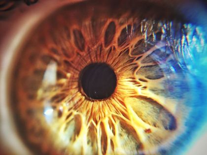 eyeconicaptures OnlyFans picture