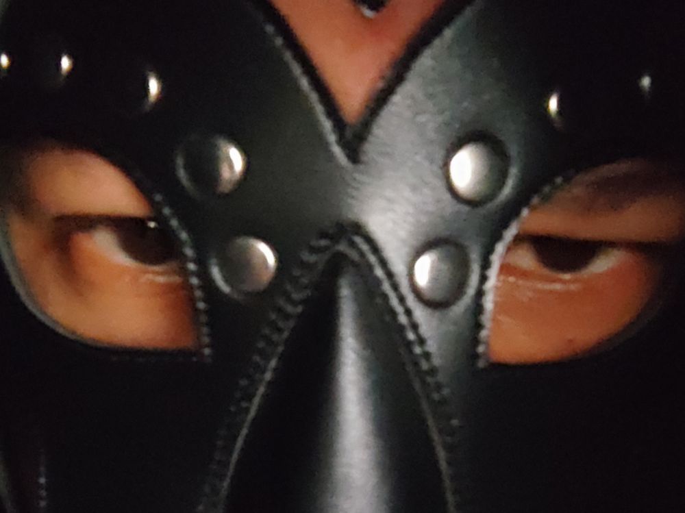 thepnsecret OnlyFans profile picture