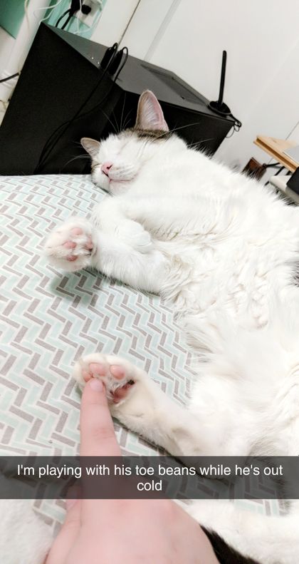 bootoebeans OnlyFans picture